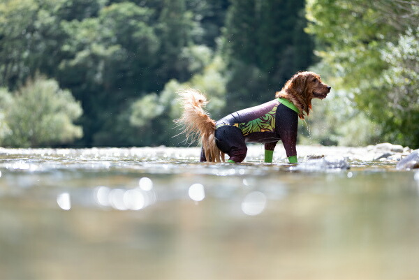犬服 撥水性とストレッチ性の高い高機能ドギースーツ リーフ 中型犬 大型犬用 アクティブワン 犬服 ゴールデンレトリバー 犬用品 コーギー ラブラドールレトリバー シェパード ドーベルマン ボーダーコリー ダルメシアン シベリアンハスキー トンボ With 犬の洋服屋