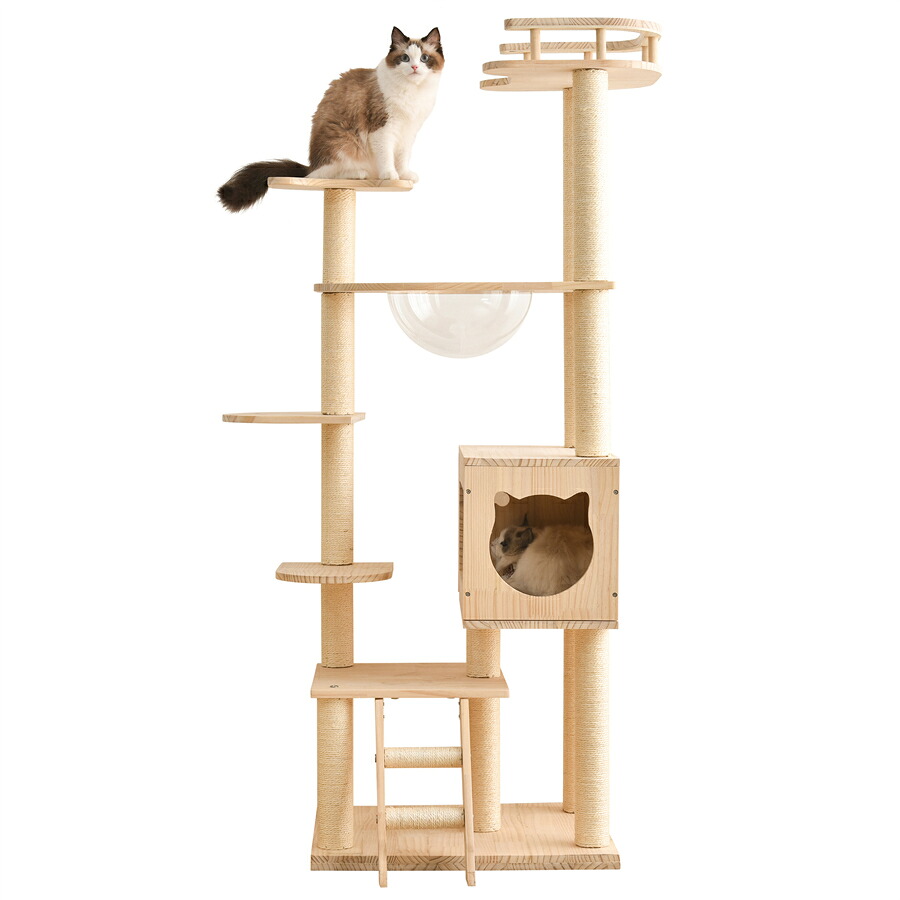 【15%OFF★最大P10倍★6Hだけ!】キャットタワー 透明宇宙船 頑丈 据え置き おしゃれ キャットタワー 木製 可愛い麻紐 爪とぎボール 猫ベッド 安全安心 ペット用品
