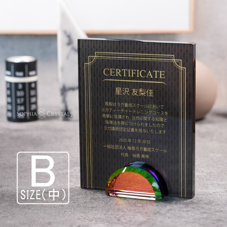 ブラックビューティー 表彰盾 DP-15B-bb(中) クリスタル 黒 表彰楯 名入れ 記念品 表彰状 盾 卒業 感謝 退職記念 周年記念 創立記念 ゴルフコンペ ホールインワン スポーツ大会 イベント 優勝 トロフィー プレゼント ギフト DPB-15