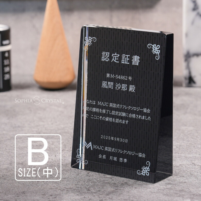 ブラックビューティー 表彰盾 DP-17B-bb(中) クリスタル 黒 表彰楯 名入れ 記念品 表彰状 盾 卒業 感謝 退職記念 周年記念 創立記念 ゴルフコンペ ホールインワン スポーツ大会 イベント 優勝 トロフィー プレゼント ギフト DPB-17