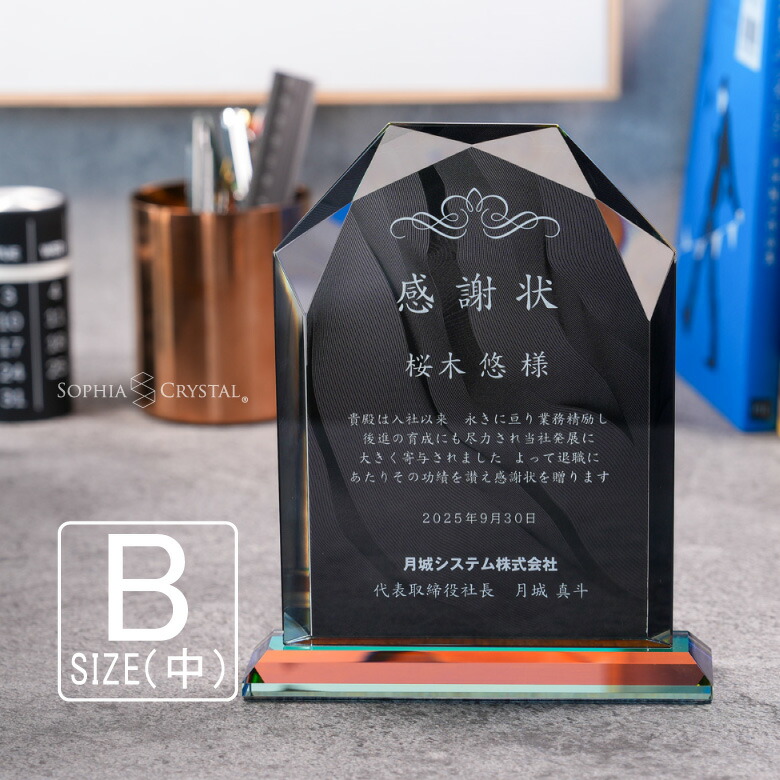 ブラックビューティー 表彰盾 DP-5B-bb(中) クリスタル 黒 表彰楯 名入れ 記念品 表彰状 盾 卒業 感謝 退職記念 周年記念 創立記念 ゴルフコンペ ホールインワン スポーツ大会 イベント 優勝 トロフィー プレゼント ギフト DPB-5
