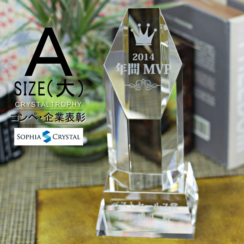 クリスタル トロフィー CR-8A(大) 名入れ 記念品 表彰状 退職記念 周年記念 創立記念 ゴルフコンペ ホールインワン スポーツ大会 イベント 優勝 プレゼント ギフト 六角柱 おしゃれ