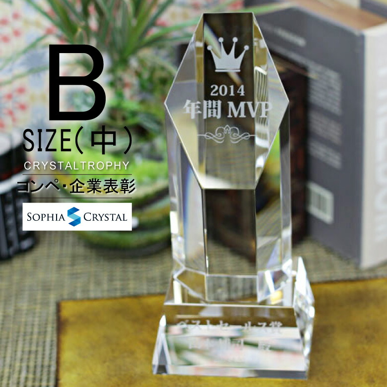クリスタル トロフィー CR-8B(中) 名入れ 記念品 表彰状 退職記念 周年記念 創立記念 ゴルフコンペ ホールインワン スポーツ大会 イベント 優勝 プレゼント ギフト 六角柱 おしゃれ