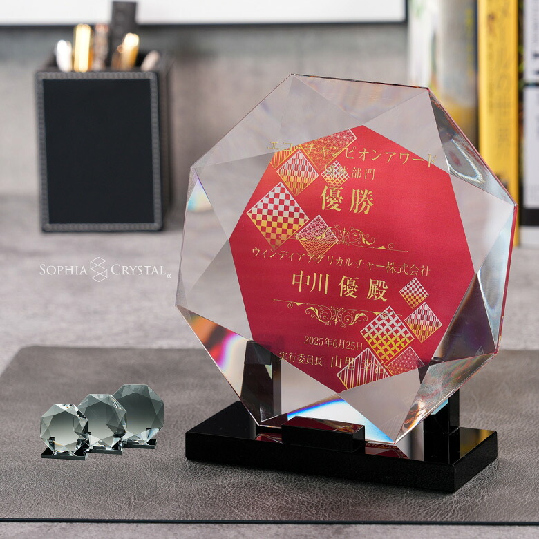 トロフィー クリスタル 盾 DP-19 名入れ 記念品 表彰状 表彰 盾 表彰楯 卒業 感謝 退職記念 周年記念 創立記念 ゴルフコンペ ホールインワン スポーツ大会 イベント 優勝 トロフィ プレゼント ギフト｜名入れギフト専門店SophiaCrystal