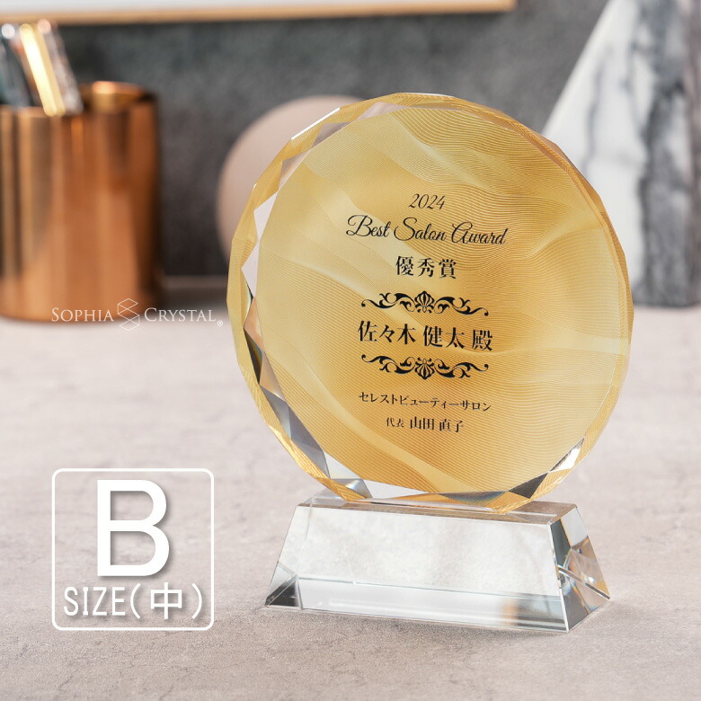 トロフィー クリスタル 盾 DP-3B(中) 名入れ 記念品 表彰状 表彰 盾 表彰楯 卒業 感謝 退職記念 周年記念 創立記念 ゴルフコンペ ホールインワン スポーツ大会 イベント 優勝 トロフィ プレゼント ギフト.