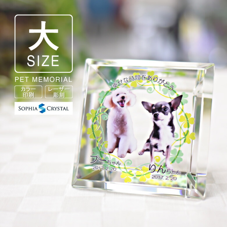 定番の冬ギフト 仏壇 ペットメモリアル 供養 仏具 遺影 フォト 彫刻 レーザー スワロフスキー 誕生石 両面印刷 カラー 写真 Kp 16 大 ガラス クリスタル 位牌 ペット お位牌 小動物 インコ うさぎ 猫 犬 きれい キラキラ かわいい モダン 名入れ 思い出 虹の橋 49日