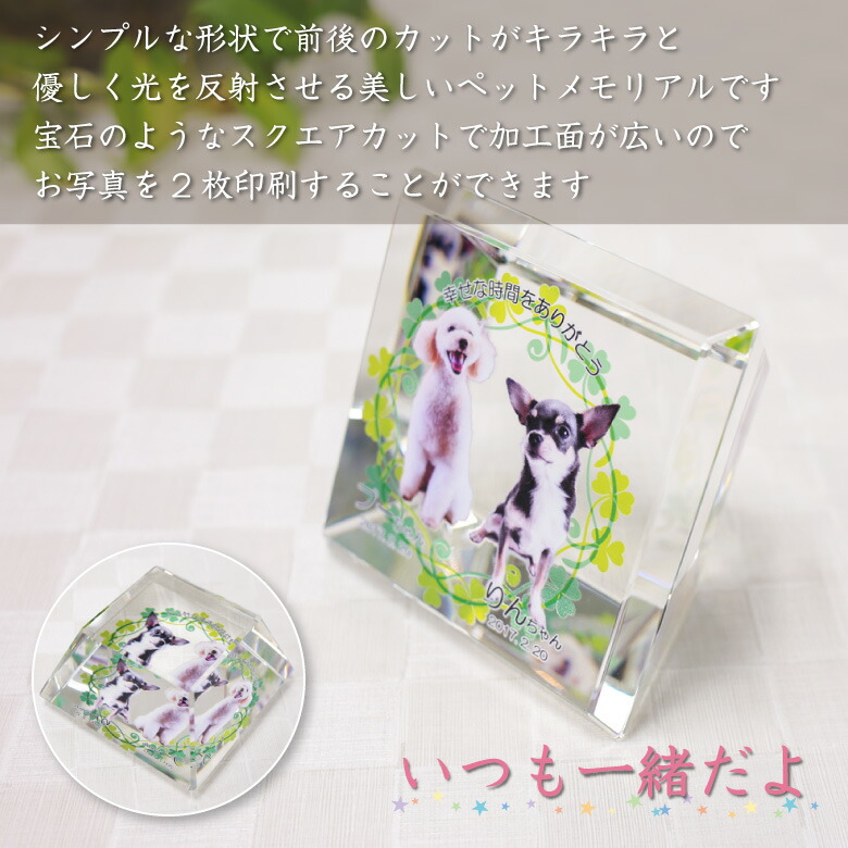 KP-16について