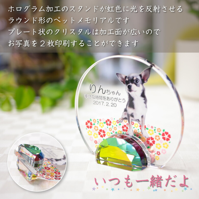 セール価格 ペット 位牌 クリスタル ガラス Kp 17 小 写真 カラー 両面印刷 誕生石 レーザー 彫刻 フォト 遺影 仏具 供養 ペットメモリアル お位牌 手元供養 仏壇 葬儀 49日 虹の橋 思い出 名入れ モダン かわいい キラキラ きれい 犬 猫