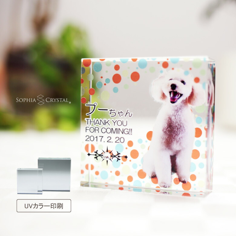 金箔貼り 結晶位牌