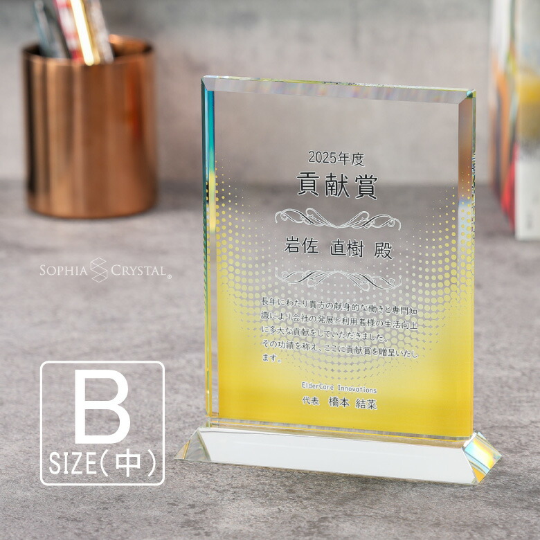 トロフィー ガラス 盾 PS-7B(中) 名入れ 記念品 表彰状 表彰 盾 表彰楯 卒業 感謝 退職記念 周年記念 創立記念 ゴルフコンペ ホールインワン スポーツ大会 イベント 優勝 トロフィ プレゼント ギフト