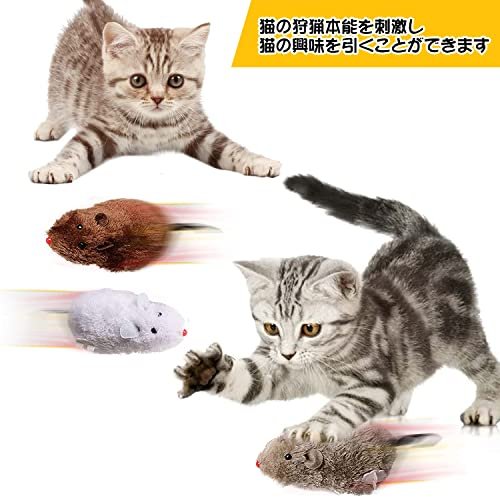 市場 Mr Coollooda おもちゃ 噛むおもちゃ 猫おもちゃ 3個セット 猫遊び ペット玩具 ネズミ 動くネズミ