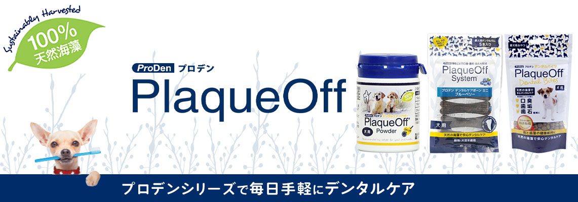 市場 初回購入特典付き 口臭 デンタルケア 口腔内ケア ふりかけタイプ プロデン お手軽 歯磨き 40g 犬用 歯周病予防 かけるだけ パウダー