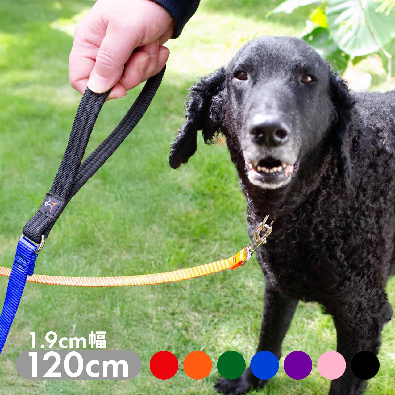 楽天市場】ルパイン ベーシックソリッズ クッション付きハンドルリード