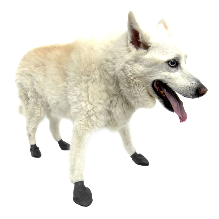 楽天市場 Pawz ラバードッグブーツ ブラック Mサイズ 12枚入 4本足3回分 中型犬 大型犬向け 犬用 ブーツ ポウズ パウズ アウトドア 肉球 保護 滑り止め Dear Dogs 犬のセレクトショップ