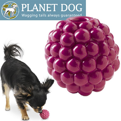 楽天市場 プラネットドッグ オービータフ フルーツ ベジ ラズベリー 約4cmx4 5cm Planetdog Raspberry 犬 おもちゃ 超小型 犬 小型犬 ボール おやつが入る Dear Dogs 犬のセレクトショップ