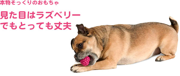 楽天市場 プラネットドッグ オービータフ フルーツ ベジ ラズベリー 約4cmx4 5cm Planetdog Raspberry 犬 おもちゃ 超小型 犬 小型犬 ボール おやつが入る Dear Dogs 犬のセレクトショップ