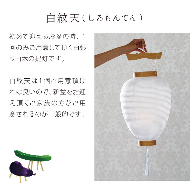 お盆飾り Led盆提灯 白紋天 13点 セット 盆花 お盆用品 新盆飾り 初盆飾り ちょうちん 精霊馬 お供え 盆供養 初めて まこも 真菰 麻がら おがら ハス コンパクト ミニ 基本 手元供養 Rvcconst Com