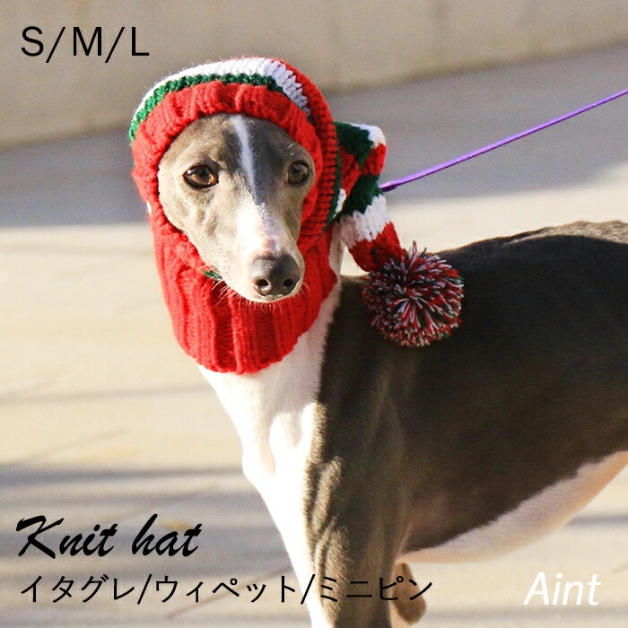 楽天市場】イタグレ ニット帽 クリスマス 犬 ボーダー柄 ウィペット