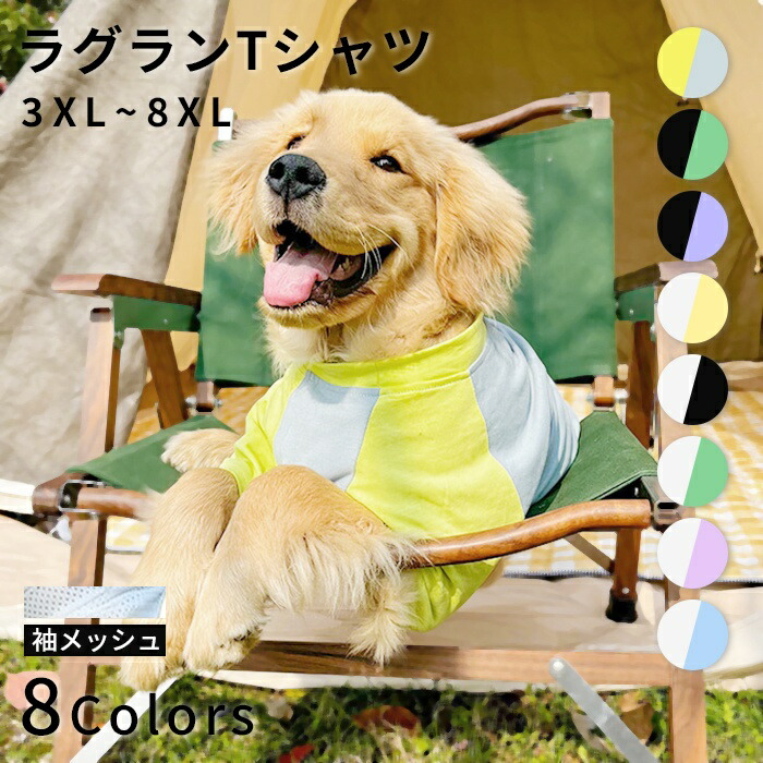 楽天市場】大型犬 Tシャツ 犬 服 夏 3XL-8XL メッシュ ゴールデン
