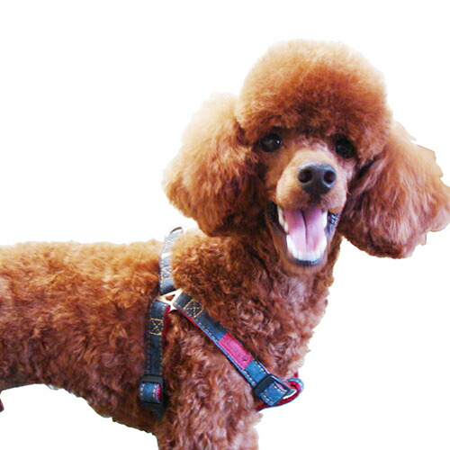 トムブラウン 犬用ハーネス 【公式通販】