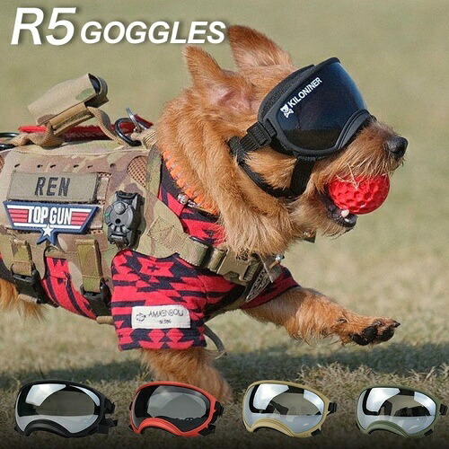 【お取り寄せ】 R5 ゴーグル スカーレット 中国