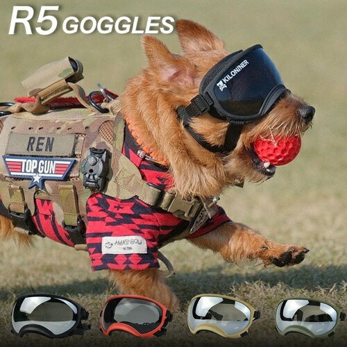 【お取り寄せ】 R5 ゴーグル レンジャーグリーン 中国