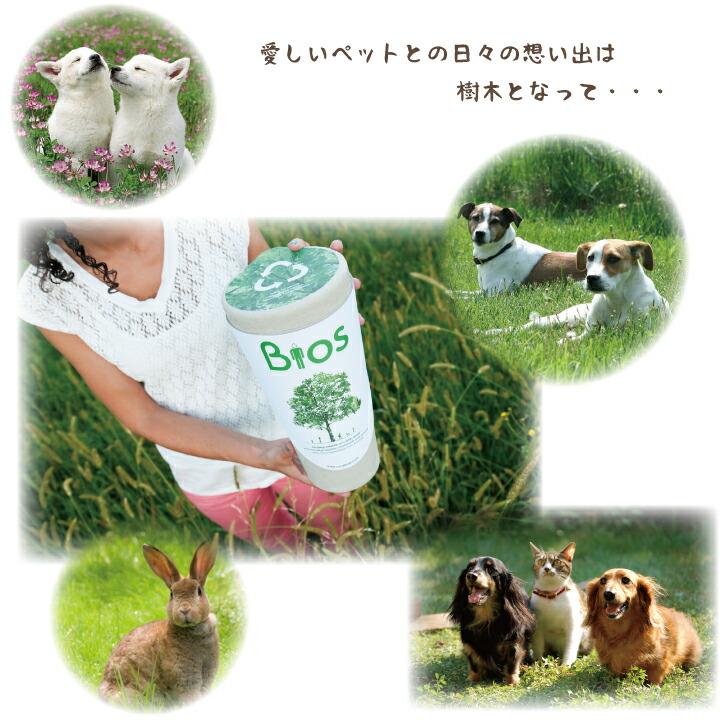 遺灰で育てる 樹木葬キット Bios 埋葬 Urn お墓 メモリアル 葬儀 Petペット 猫 ペット供養 ペット仏具 ペットロス 遺骨 犬 埋める 動物 骨 1周忌 遺灰 For ペット骨壷 庭 49日 墓石 墓 供養 自宅 シンボルツリー 粉骨 樹木葬 プランター