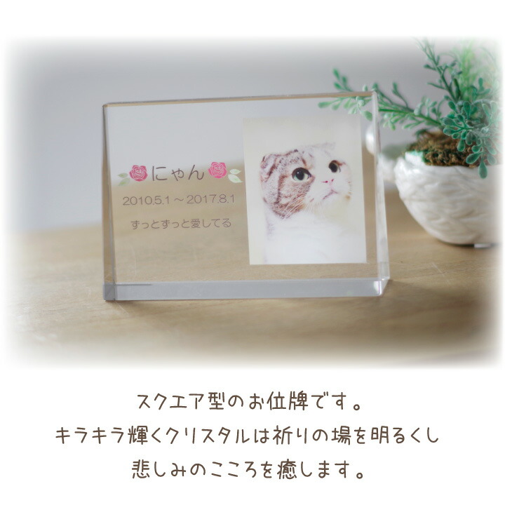 ペット位牌 キャトル クリスタルdp いはい 特製box付 犬の位牌 最短 四角 猫 小動物 ペット供養 猫の位牌 早い 49日 カラー お供え 犬 かわいい 四十九日 急ぎ ガラス おしゃれ きれい いひ 開眼 うさぎ 透明