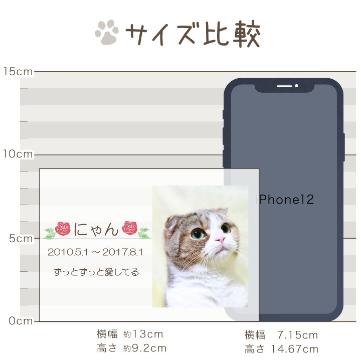 ペット位牌 キャトル クリスタルdp いはい 特製box付 犬の位牌 最短 四角 猫 小動物 ペット供養 猫の位牌 早い 49日 カラー お供え 犬 かわいい 四十九日 急ぎ ガラス おしゃれ きれい いひ 開眼 うさぎ 透明