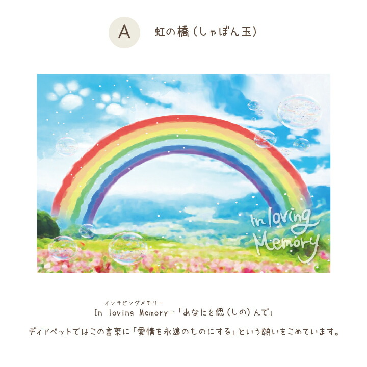 【楽天市場】虹の橋 ポストカード 【ネコポス対応】犬 猫 お悔やみ 贈り物 ペット かわいい 動物 手紙 はがき カード ギフト プレゼント 御悔み おくやみ 法事 お供え 香典返し お返し 【楽天市場】虹の橋 ポストカード 【ネコポス対応】犬 猫 お悔やみ 贈り物 ペット かわいい 動物 手紙 はがき カード ギフト プレゼント 御悔み おくやみ 法事 お供え 香典返し お返し