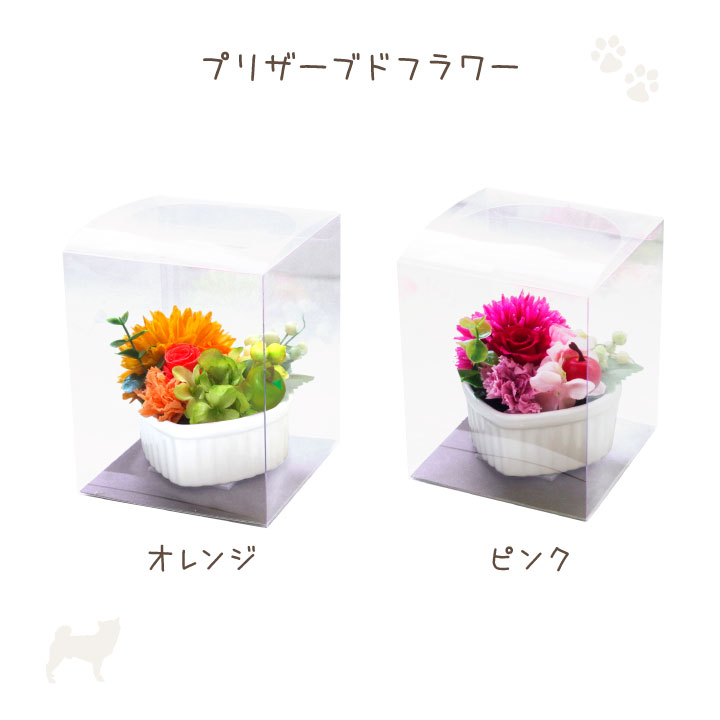 正規店 ペット お悔やみ プリザーブドフラワー ハート 器 オレンジ ピンク 虹の橋カード付 供花 プリザ フラワー ブリザードフラワー 四十九日  かわいい おしゃれ 犬 猫 ペットロス 虹の橋 バラ 薔薇 お花 花 贈り物 自宅用 仏花 お供え ギフト qdtek.vn