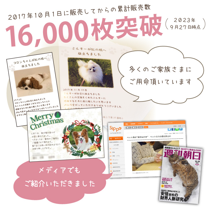 ペット 喪中はがき 写真入り お名前 手紙 ネコポス対応 喪中 名入れ無料 犬 セット 葉書 メッセージ 10枚 ペット用 ハガキ 印刷