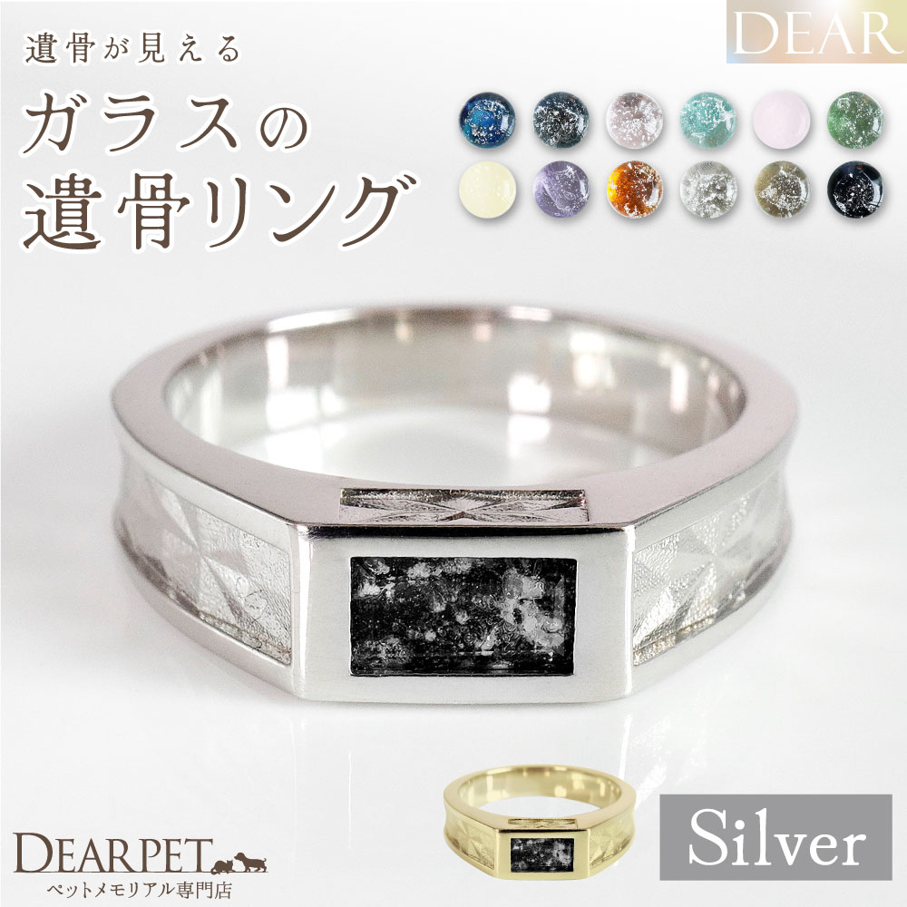 ペット 遺骨 リング 指輪 DEAR ディア \\\