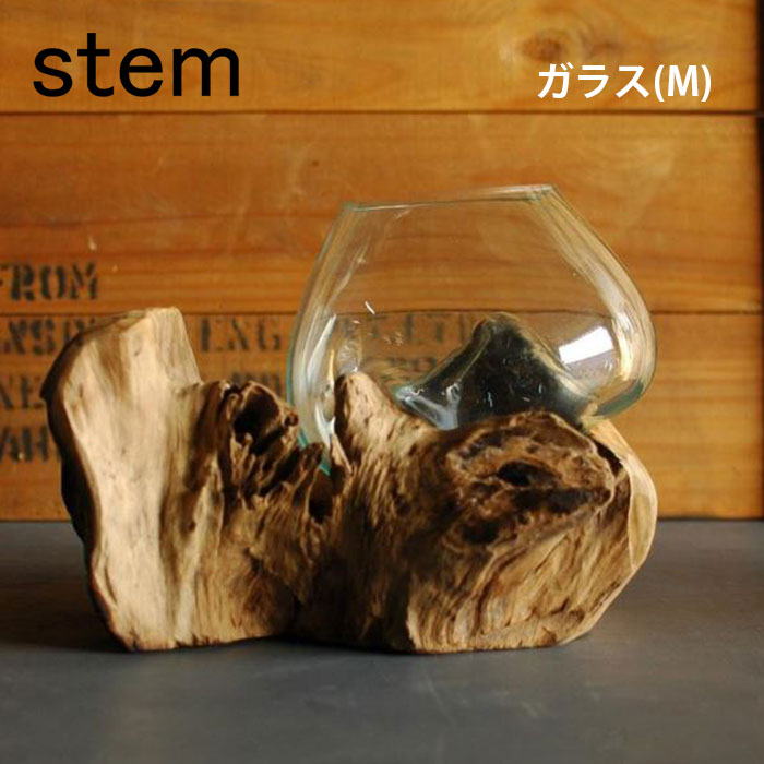 珪化木 フォッシル プレート B 置き物 楽天市場】stem ステム フォッシルプレート【珪化木 ケイカボク