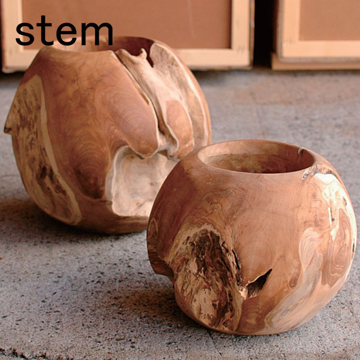 楽天市場】stem ステム フォッシルプレート【珪化木 ケイカボク