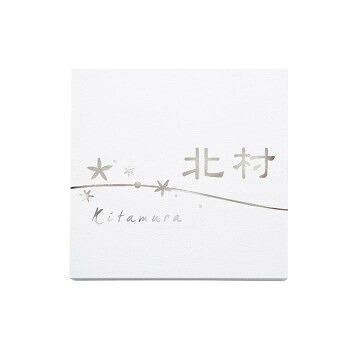 福彫 表札 ステンレスエッチング PT-110 ガーデニング･DIY・防殺虫 ガーデニング・花・植物・ＤＩＹ