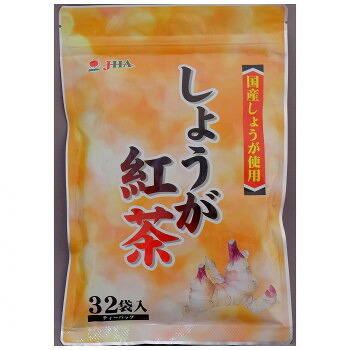 ゼンヤクノー しょうが紅茶 ティーバッグ 80g(2.5g&times;32包) 002913 &times;20袋セット 軽食品 飲料｜DECO MAISON