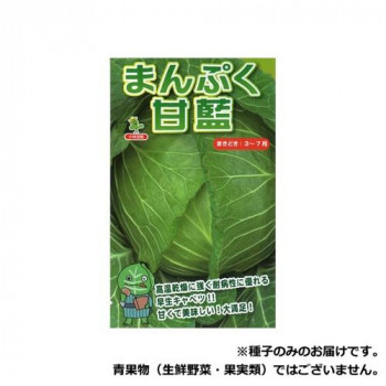 [PR]当店ご当てはめるの取り引き先へ 可動性人並み外れた出むかえ社会的運動のごお引き回し