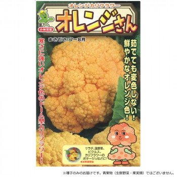 小林種苗 カリフラワー種子 オレンジさん 7245 1000粒 ガーデニング・DIY・防殺虫 ガーデニング・花・植物・DIY|DECO MAISON