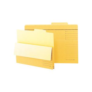 （まとめ） ライオン事務器持出しフォルダー B4 B4-APF-R 1セット（10冊） 【×3セット】