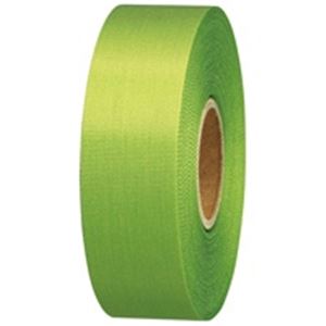 ジョインテックス カラーリボン黄緑 24mm*25m10個 B824J-YG10