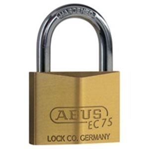 （まとめ）ABUS 南京錠 50mm EC75-50【×2セット】