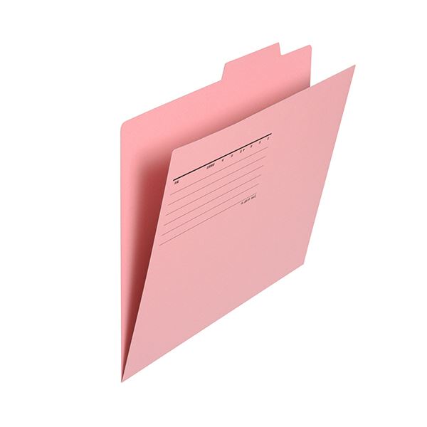 (まとめ)プラス 個別フォルダー エコノミータイプA4 ピンク FL-081IF 1パック(10冊)【×3セット】【日時指定不可】