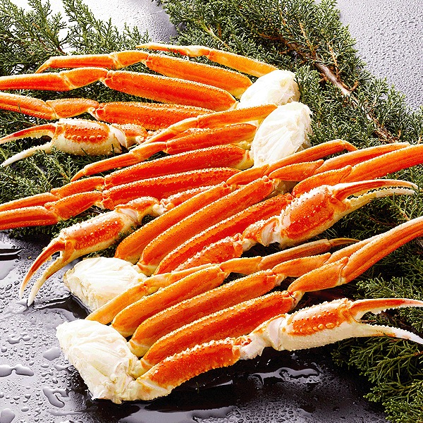 三原食品 たまり漬けクリームチーズ10パックセット のし・ギフト対応