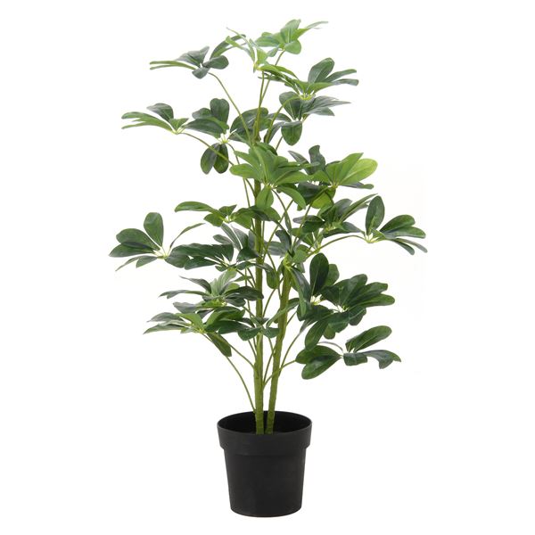 本店は 楽天市場 人工観葉植物 インテリアグリーン ヤドリフカノキ 代引不可 日時指定不可 Deco Maison 最安値に挑戦 Www Lexusoman Com
