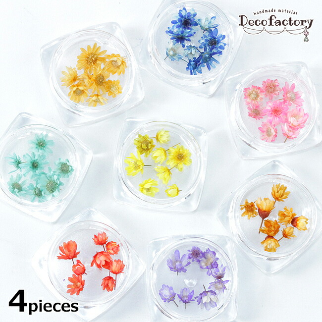 楽天市場】【封入 ドライフラワー 】 1セット ドライフラワー つぼみ