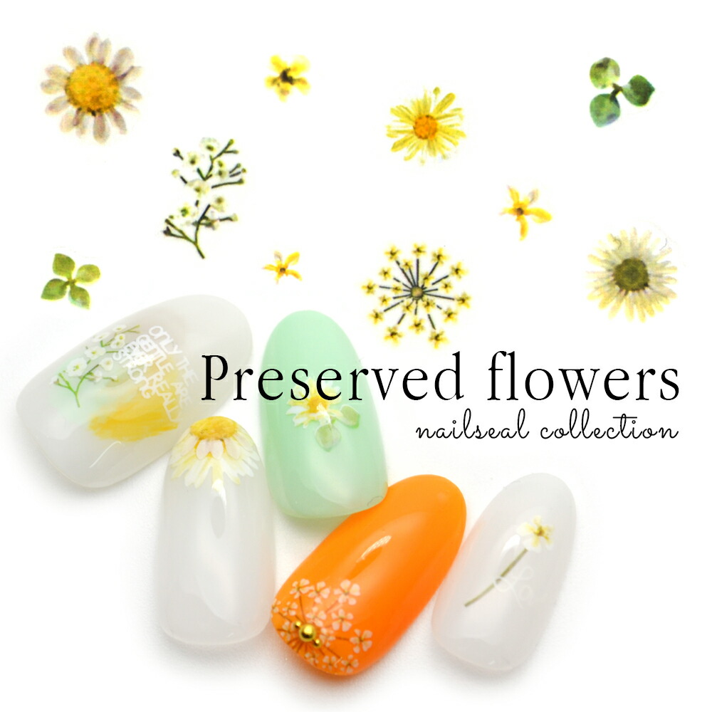 楽天市場 マーガレットネイルシール M 1 ネイルシール ウォーターネイルシール ふんわり マーガレット フラワー 花柄 ネイルアート ジェル ネイル おうち時間 ジェルネイル ネイルタウン ｎａｉｌｔｏｗｎ