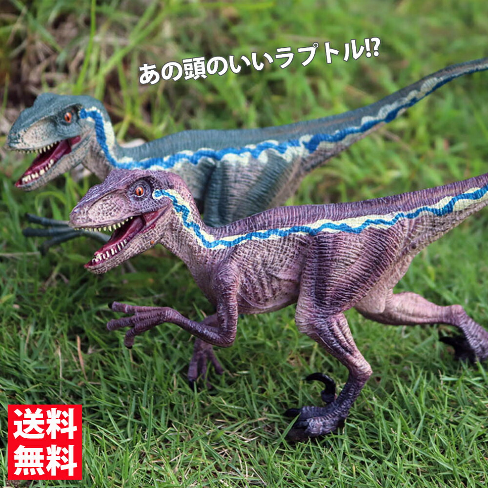 ジュラシックワールド　ブルー　ラプトル　ぬいぐるみセット Amazon.co.jp: ジュラシック・ワールド ぬいぐるみ