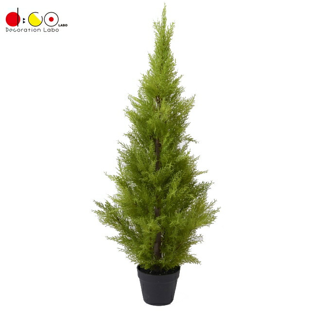 科目 ゴールドクレスト 小形 1cm 翠 Fd3705g テンプラグリーン 岩礁 天然木 人工観葉植物 クレストツリー ゴールドクレスト コニファー ツリー Cjprimarycares Com