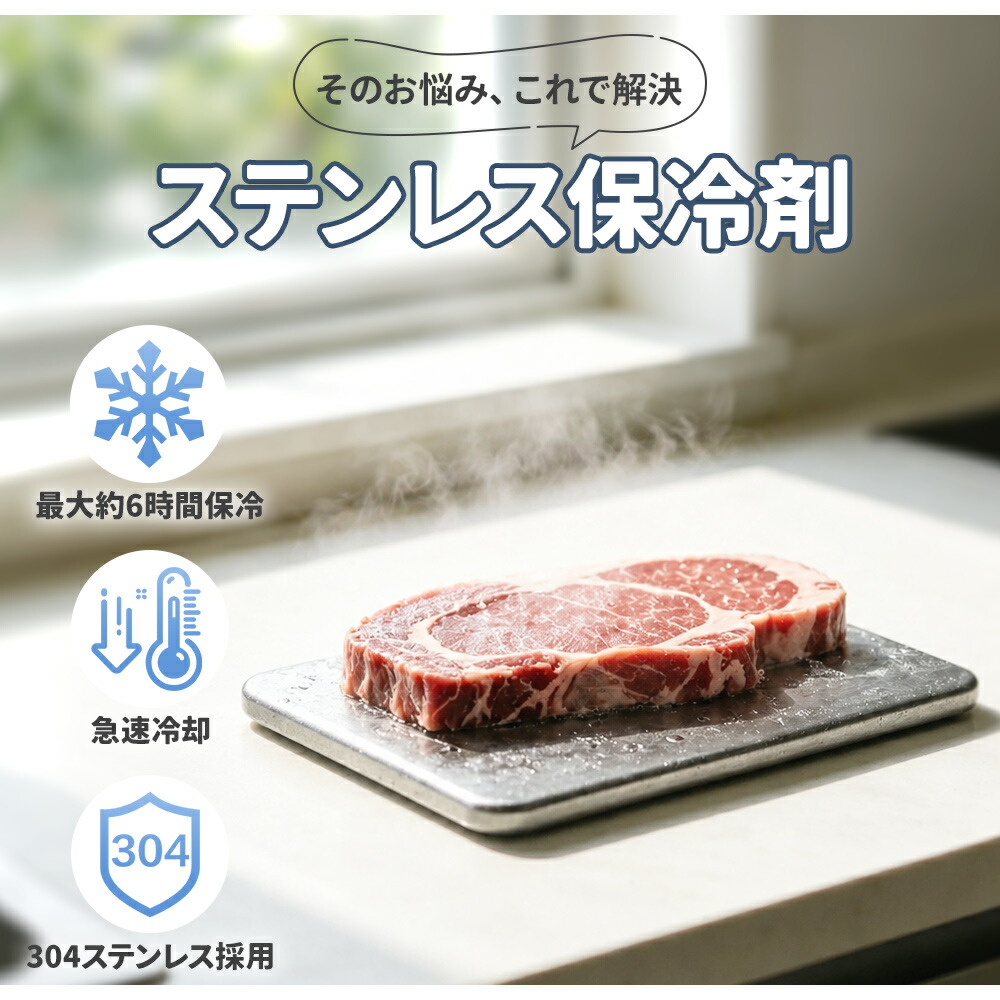 【夏の終わり特価】2点購入で65％OFFクーポン配布中！楽天総合ランキング1位を4度獲得！日本食品衛生法適合 保冷剤 ステンレス Sサイズ 230g 超軽量 Mサイズ450g 長時間保冷 急速冷却 繰り返し使える 保冷バッグ クーラーボックス お弁当 ランチ